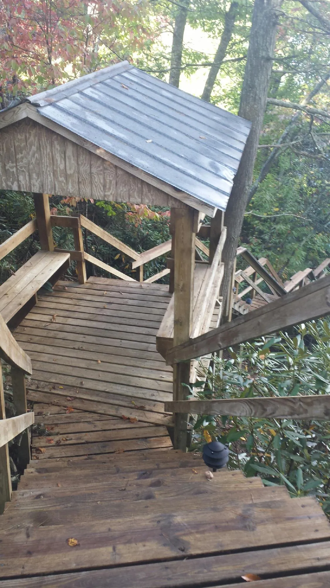 Metal roofed shelter over wooden steps on a wooded walkway — Skylight Repair & Installation work by our crew in Double Springs